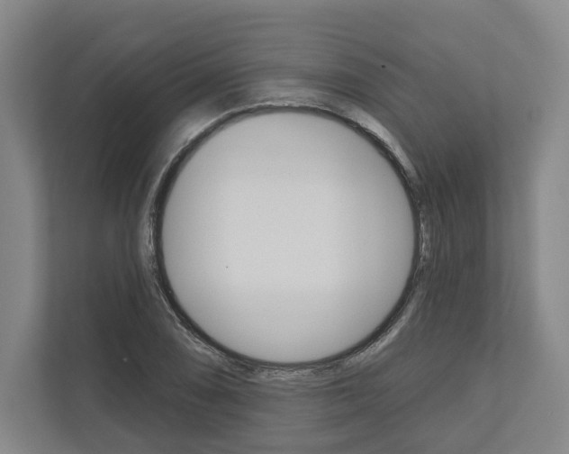 X0000113001074200908270915