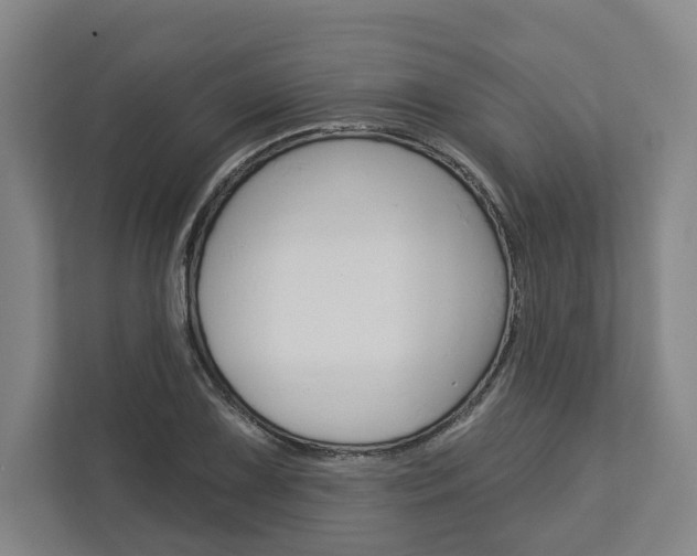 X0000113001075200908270915