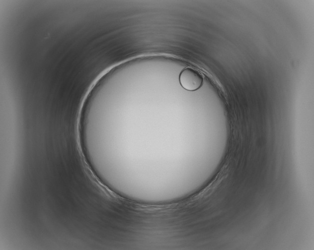 X0000113001076200908270915