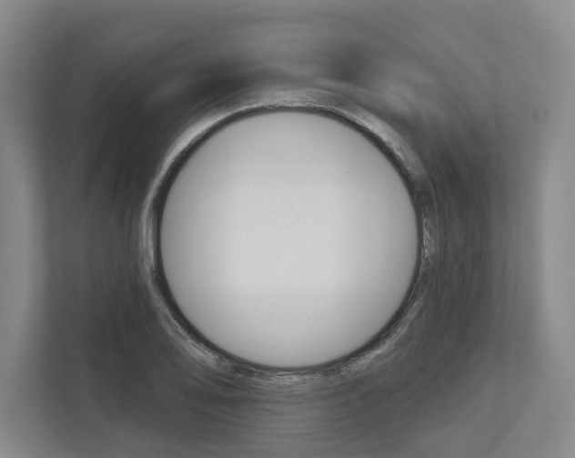 X0000113001078200908270915