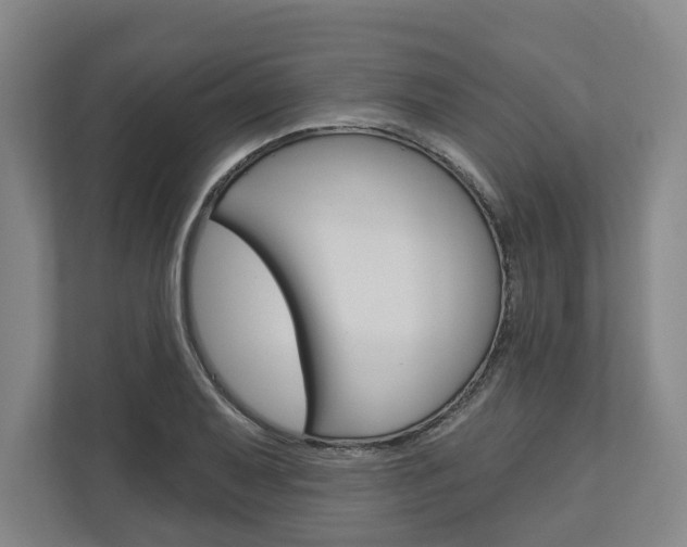 X0000113001079200908270915