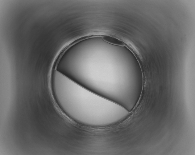 X0000113001080200908270915