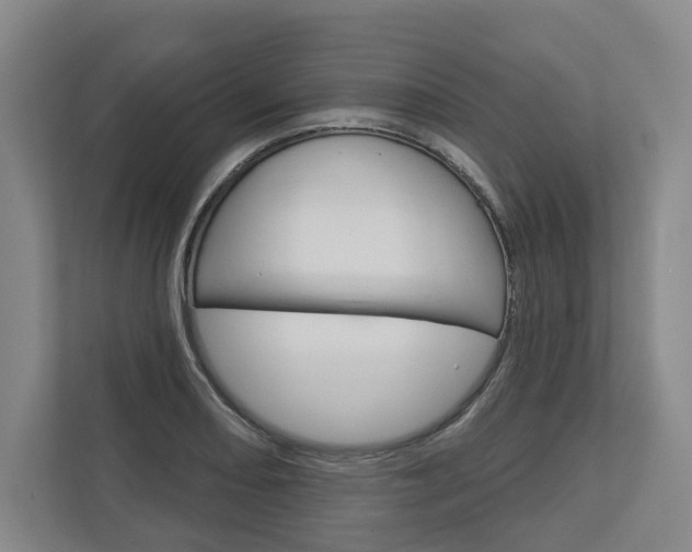 X0000113001082200908270915