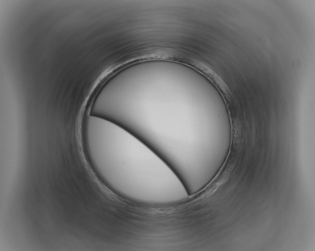 X0000113001083200908270915