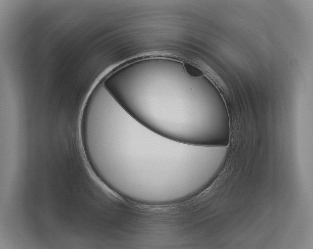 X0000113001084200908270915