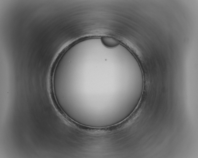 X0000113001085200908270915