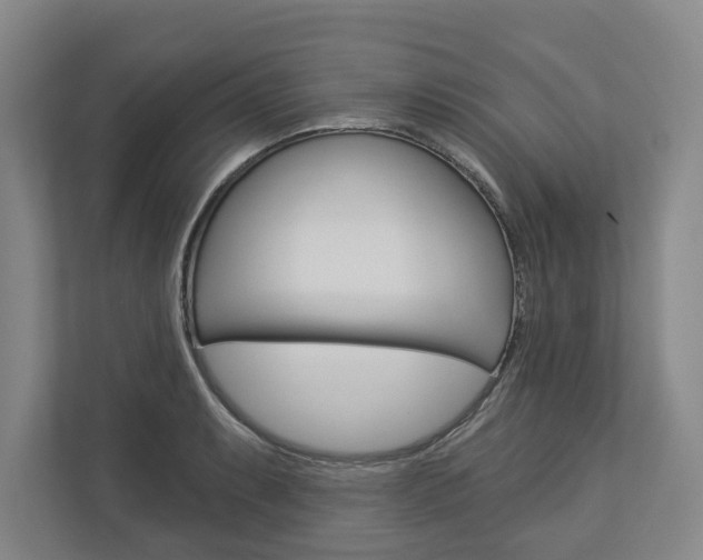 X0000113001087200908270915
