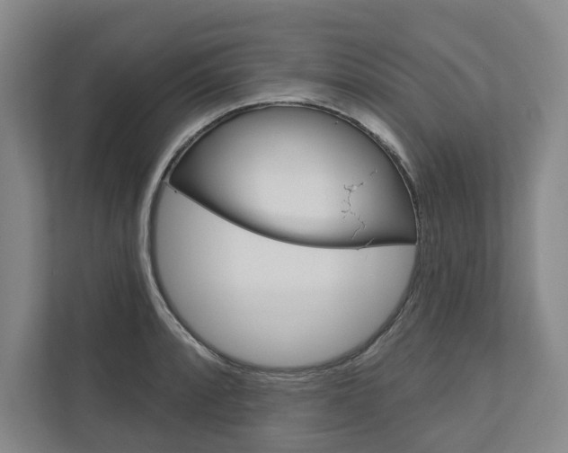 X0000113001088200908270915