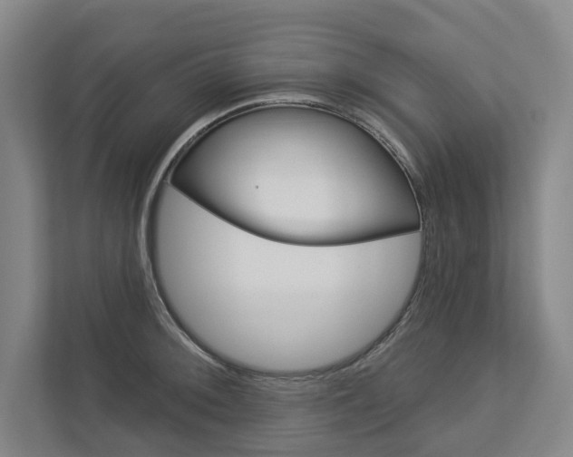 X0000113001092200908270915