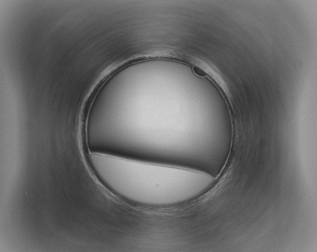 X0000113001093200908270915