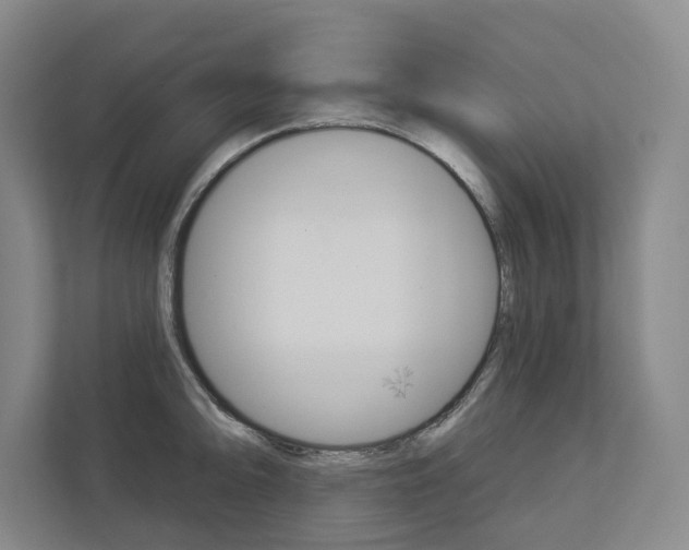 X0000113001094200908270915