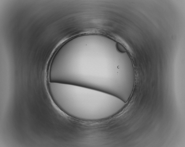 X0000113001095200908270915