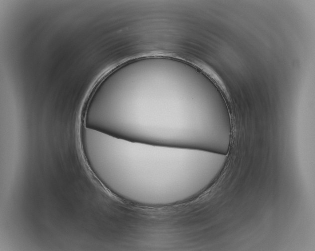 X0000113001096200908270915