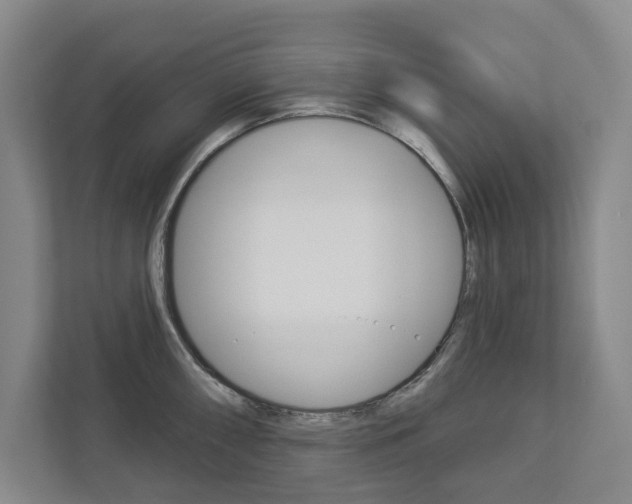 X0000113001098200908270915