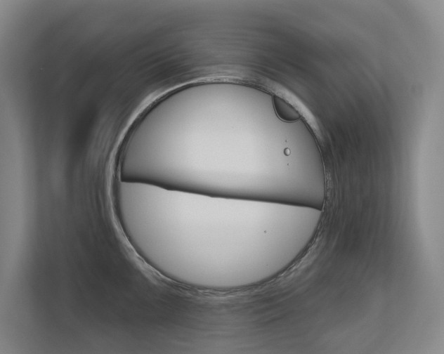 X0000113001099200908270914