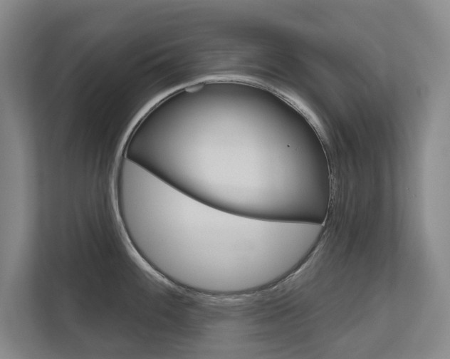 X0000113001100200908270914