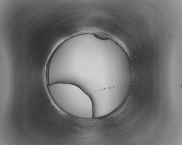 X0000113001103200908270914