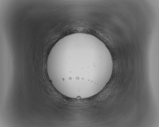 X0000113001105200908270914