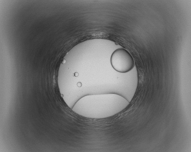 X0000113001106200908270914
