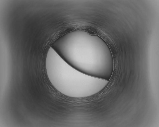 X0000113001108200908270914