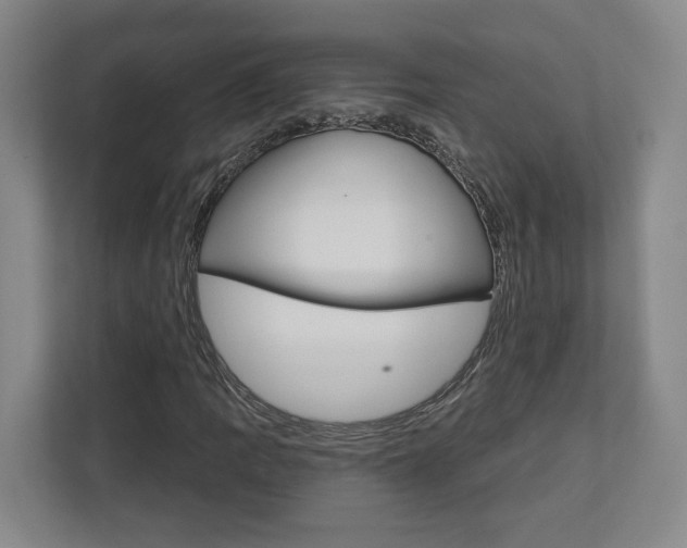 X0000113001109200908270914