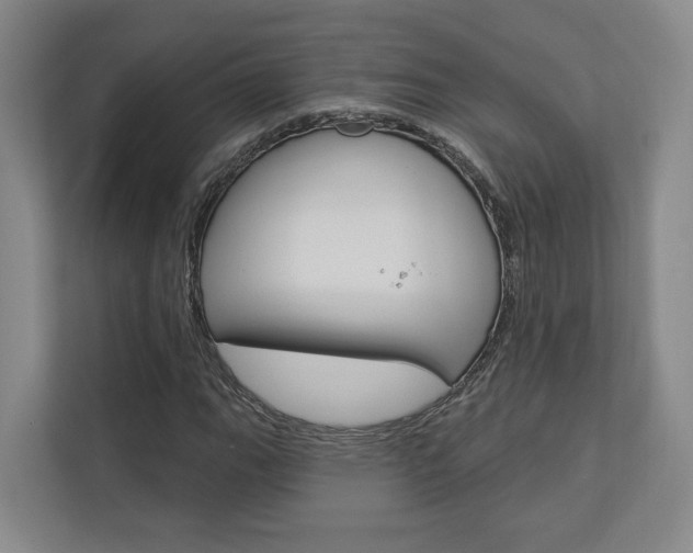 X0000113001111200908270914