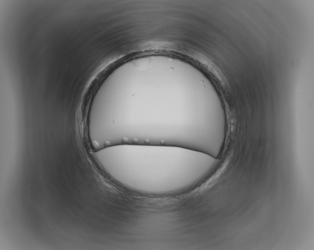 X0000113001117200908270914