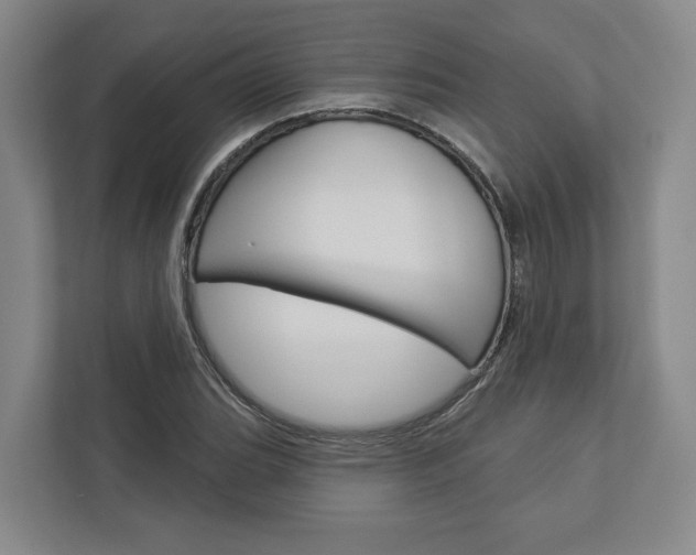 X0000113001119200908270914