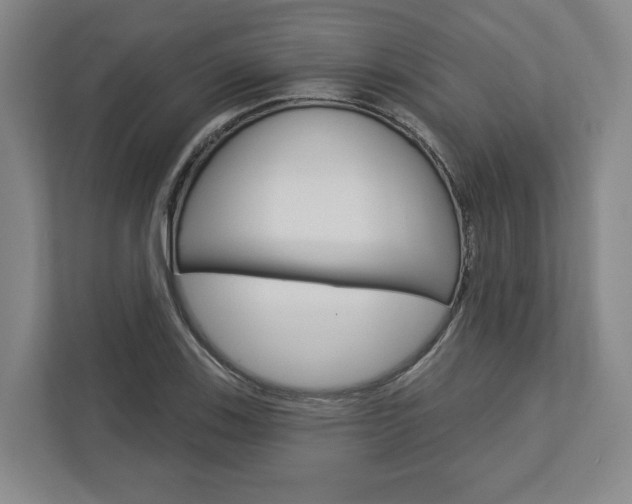 X0000113001123200908270914