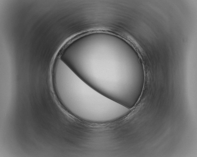 X0000113001124200908270914