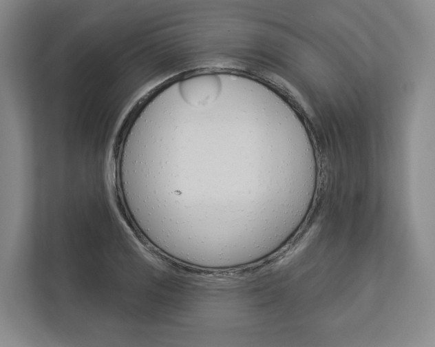 X0000113001125200908270914