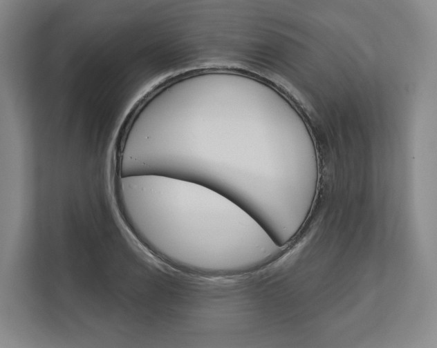 X0000113001126200908270914