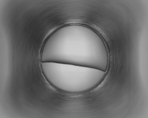 X0000113001129200908270914