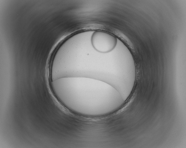 X0000113001130200908270914