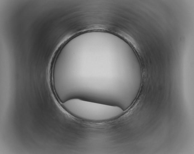 X0000113001135200908270914