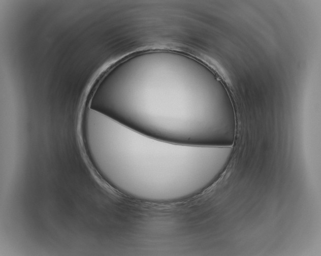 X0000113001136200908270914