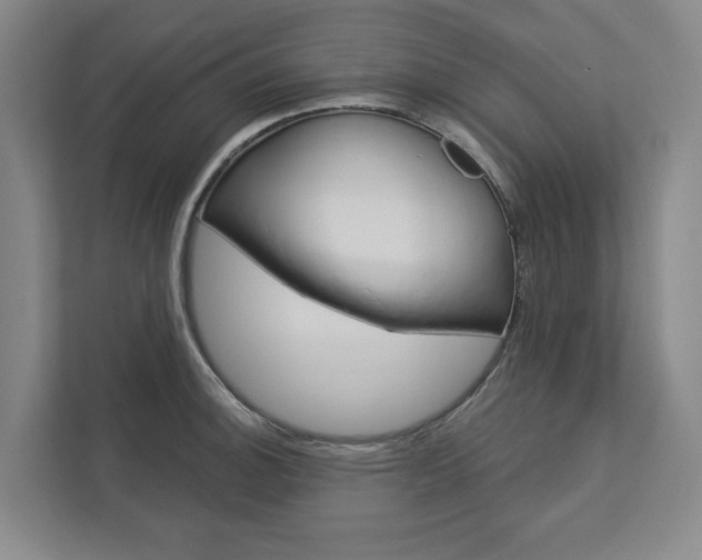 X0000113001140200908270914