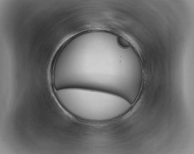 X0000113001141200908270914