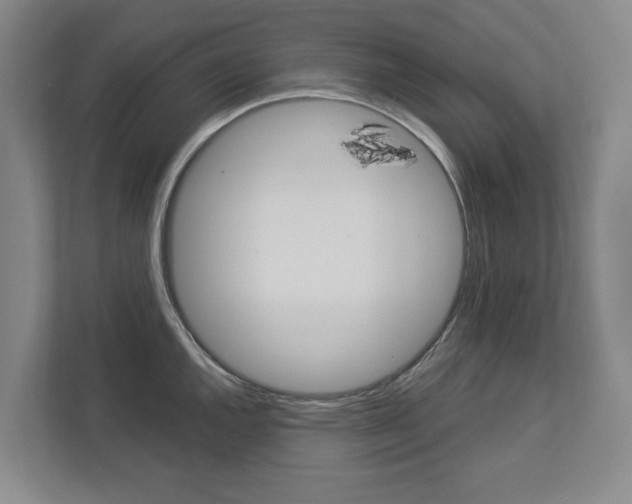 X0000113001144200908270914