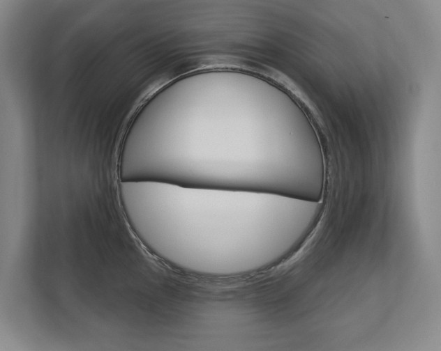 X0000113001145200908270914