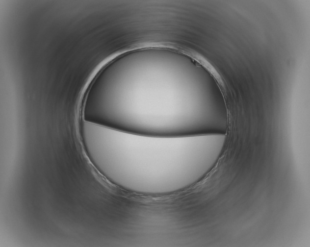 X0000113001148200908270914