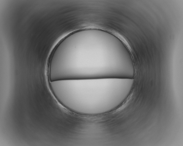 X0000113001149200908270914