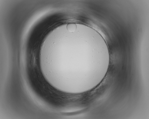 X0000113001150200908270914