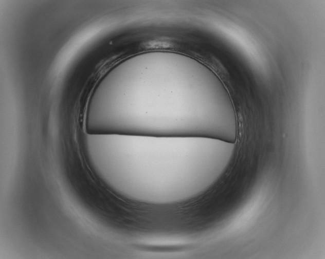 X0000113001151200908270914