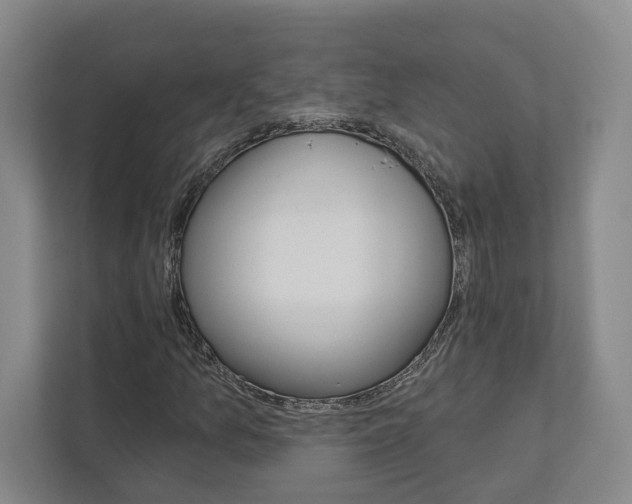 X0000113001157200908270914