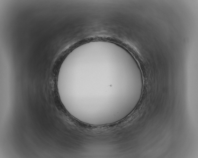 X0000113001159200908270914