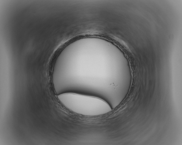 X0000113001160200908270914