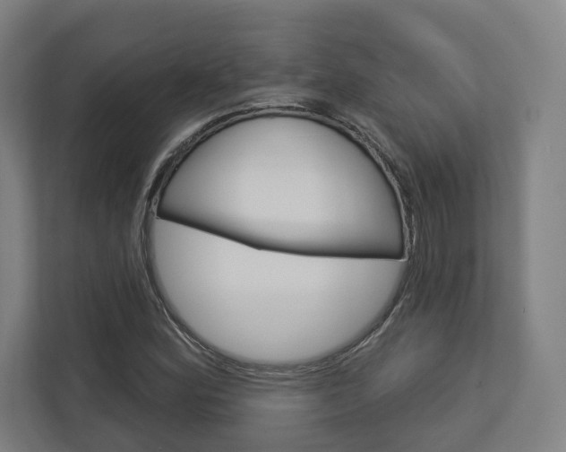 X0000113001164200908270914