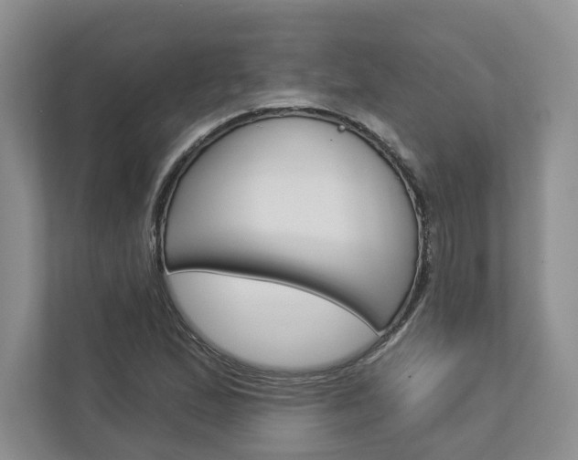 X0000113001167200908270914