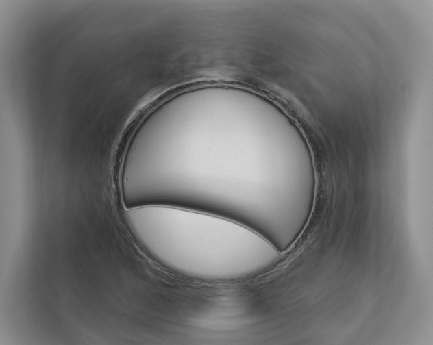 X0000113001168200908270914